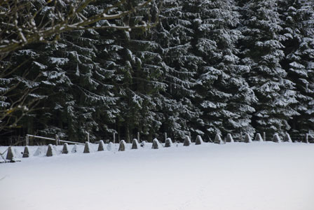 Hckerlinie in der Schneeifel